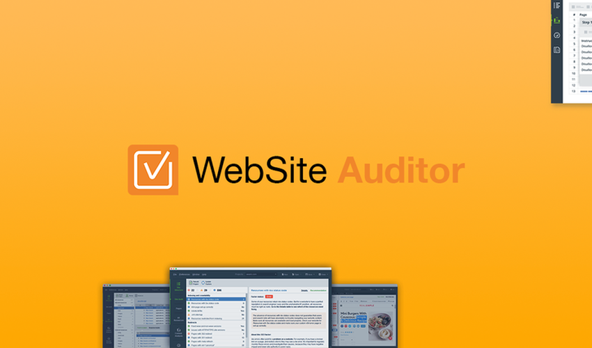 appsumo website auditor